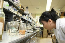 Erin Yagi of Waipahu Middle School looks at bioenergy device